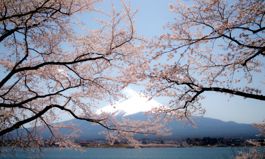 710176 (a): :2300x1382